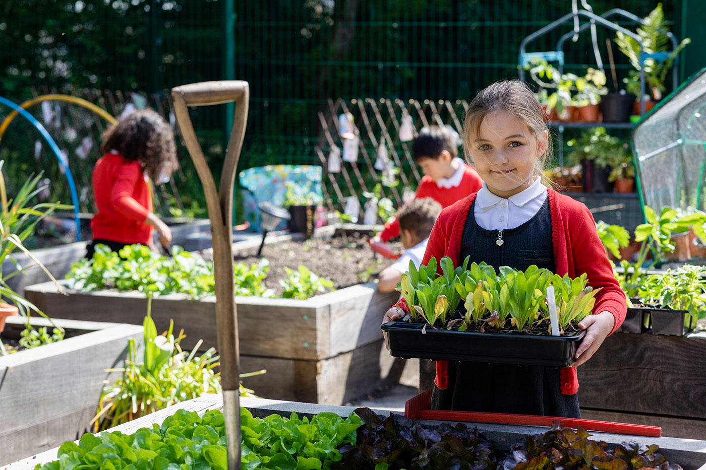 Girl holding a tray of seedlings